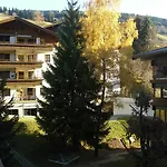 Bear Hutte Near Billa Saalbach-Hinterglemm