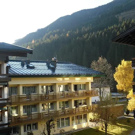 Bear Hutte Apartment