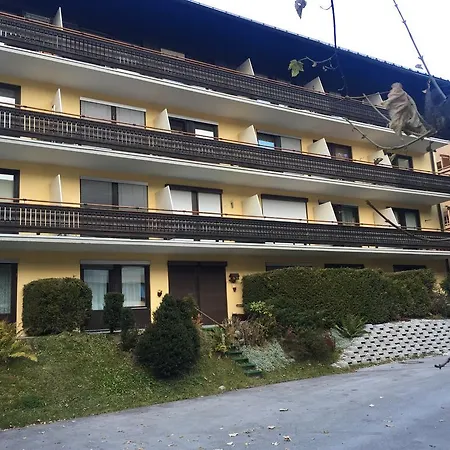 Apartment Bear Hutte *