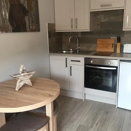 Bear Hutte Apartment Saalbach-Hinterglemm