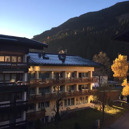 Apartment Bear Hutte *