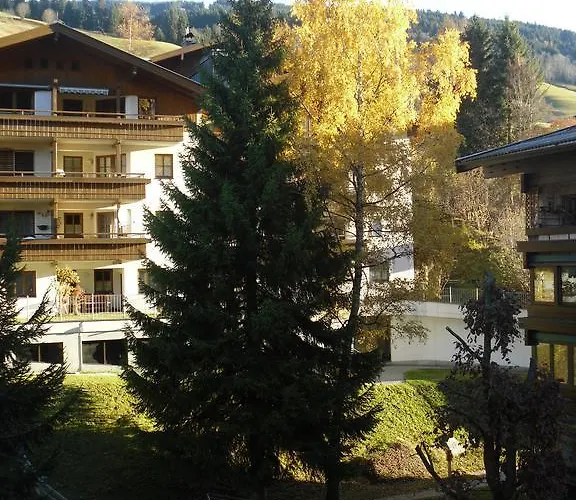 Bear Hutte Near Billa Saalbach-Hinterglemm